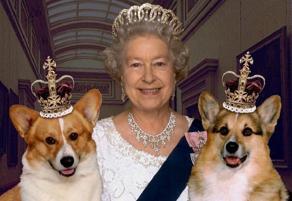 Queen Elizabeth Dog Perfume