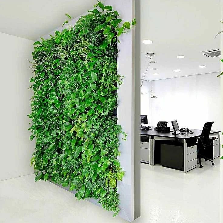 Зеленая Стена В Офисе
