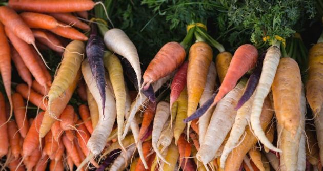 Руководство для начинающих дачников. Как выращивать, собирать и хранить морковь
