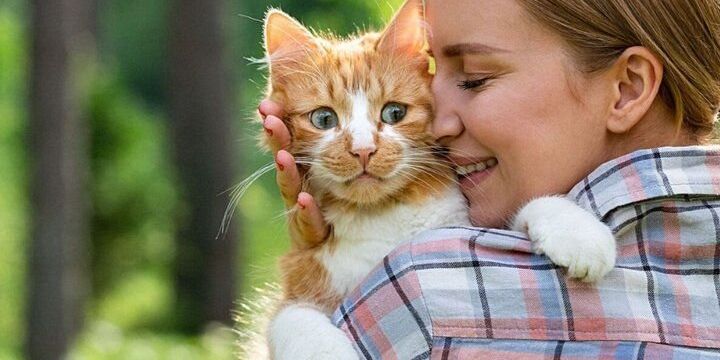 Каких хозяев кошки воспринимают как своих любимых родителей