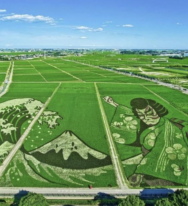 10 удивительных картин на рисовых полях Японии, которые вам стоит увидеть!