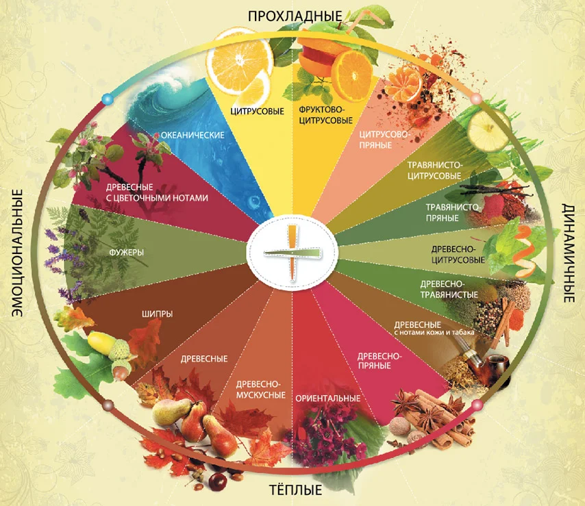 Духи и характер человека. Колесо ароматов Майкла Эдвардса. Классификация семейства ароматов. Классификация ароматов в парфюмерии. Классификация запахов духов.