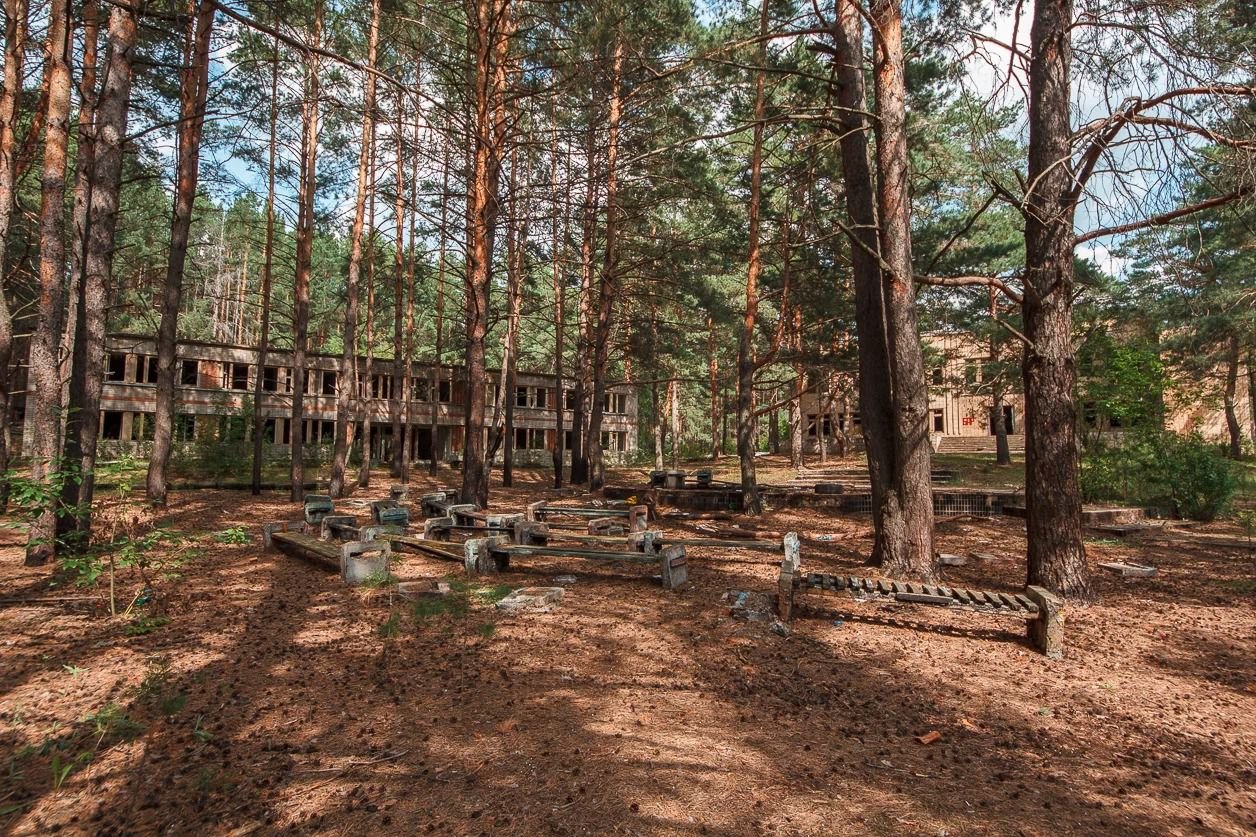 железногорск курская область речки. лесной берег железногорск курская область. база отдыха сейм курск. бор шадринск. рай в железногорске курской области турбаза.