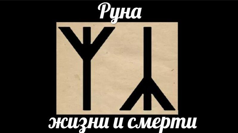 Руна асс изображение