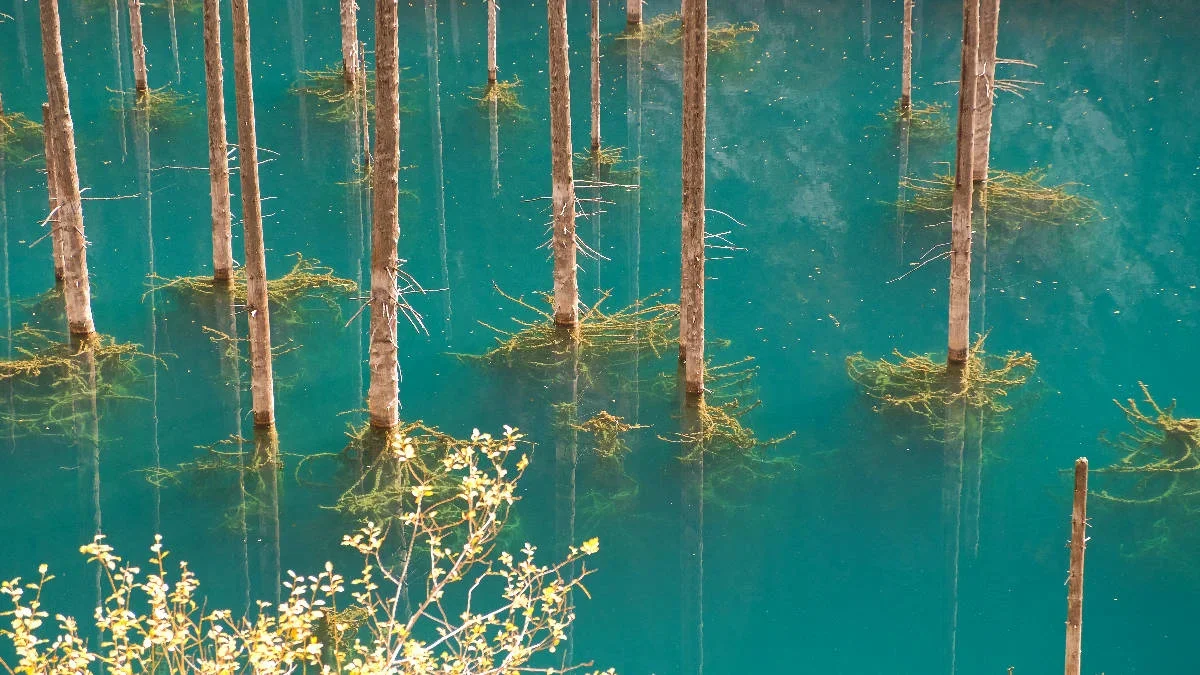 Каинды озеро фото под водой