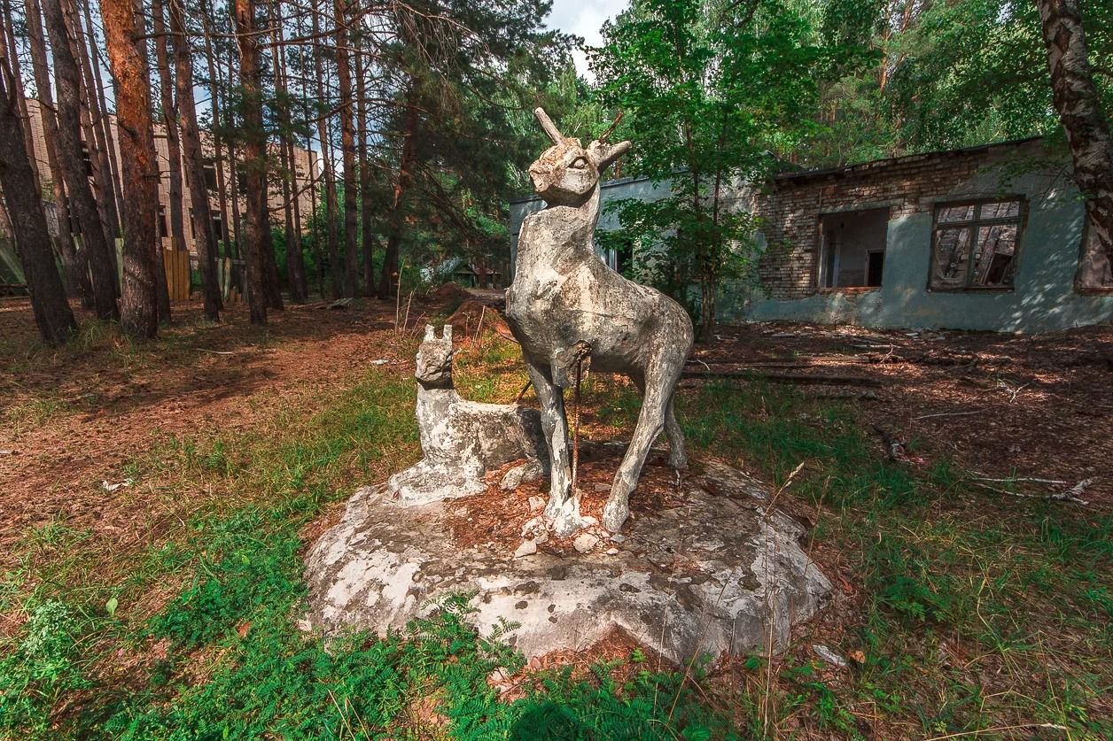 Пионерский лагерь лапшиха кинешма фото