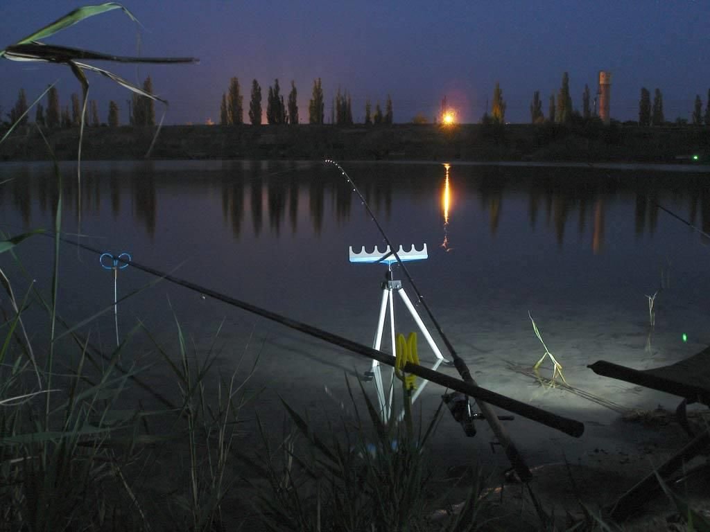 ночной вид рыбалки