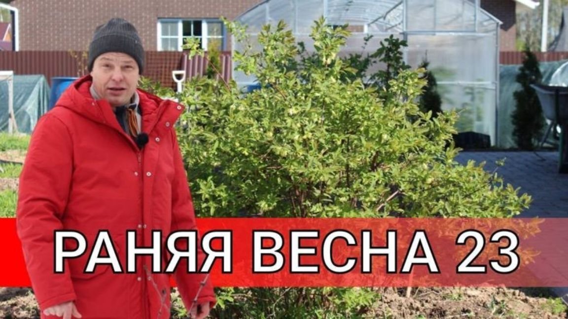 Когда сажать рассаду?
