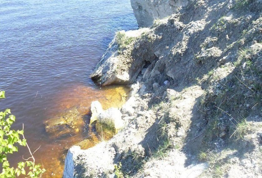 Вот в таких местах приходится рыбачить на чехонь