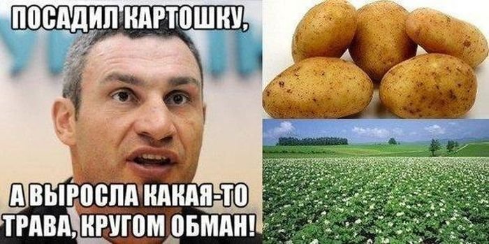 Картинки с посадкой картошки прикольные