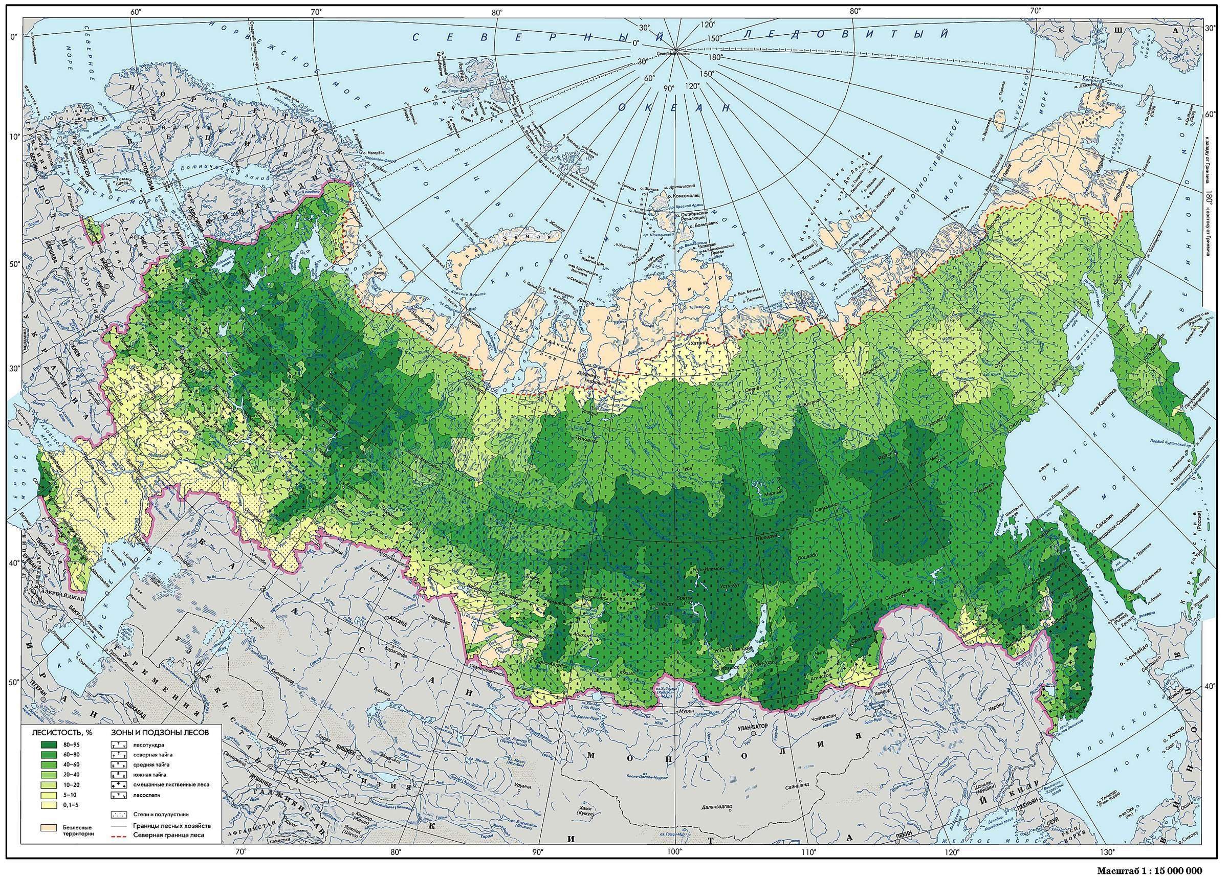 Карта лесов росси - 80 фото