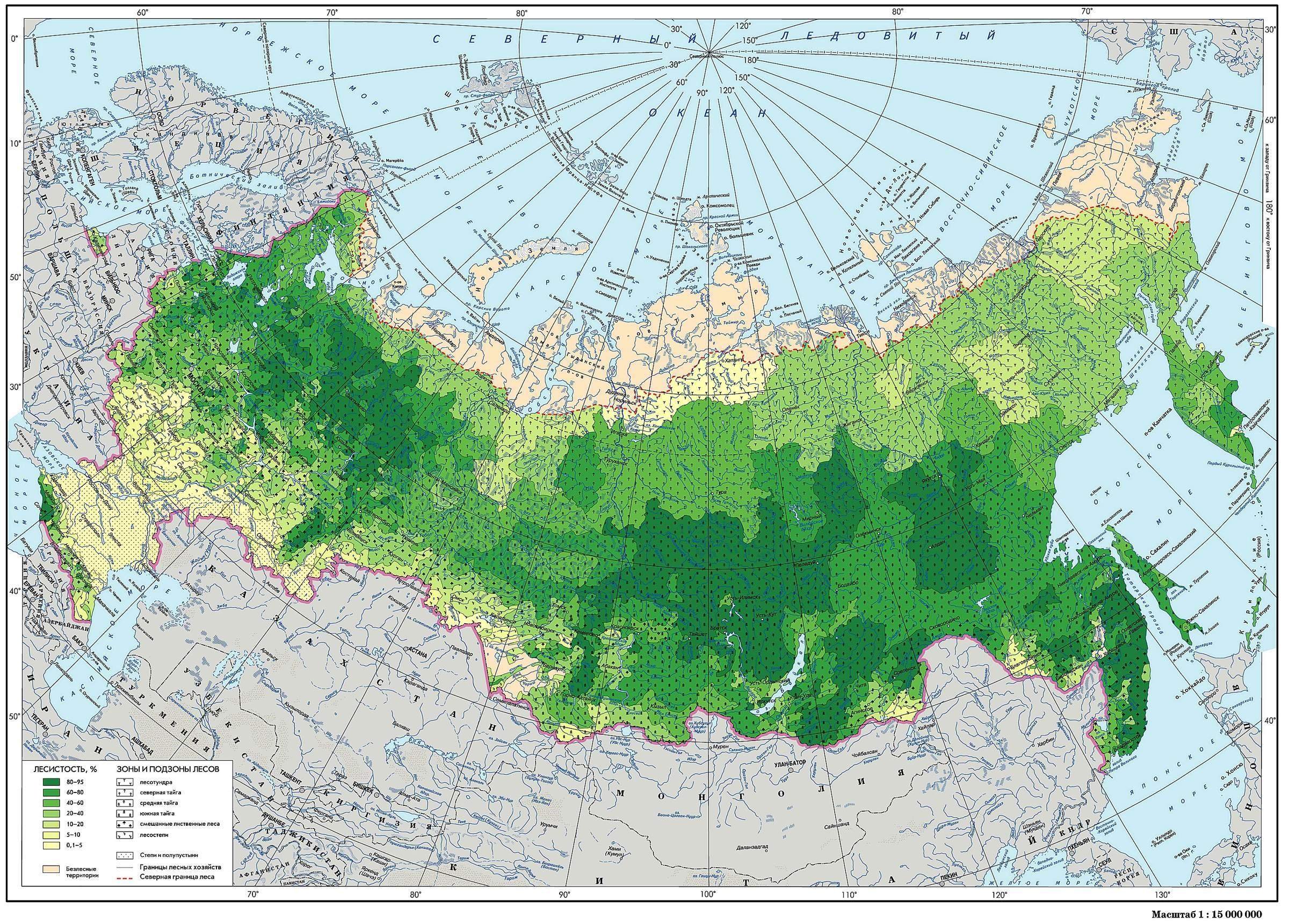 Карта хвойных лесов