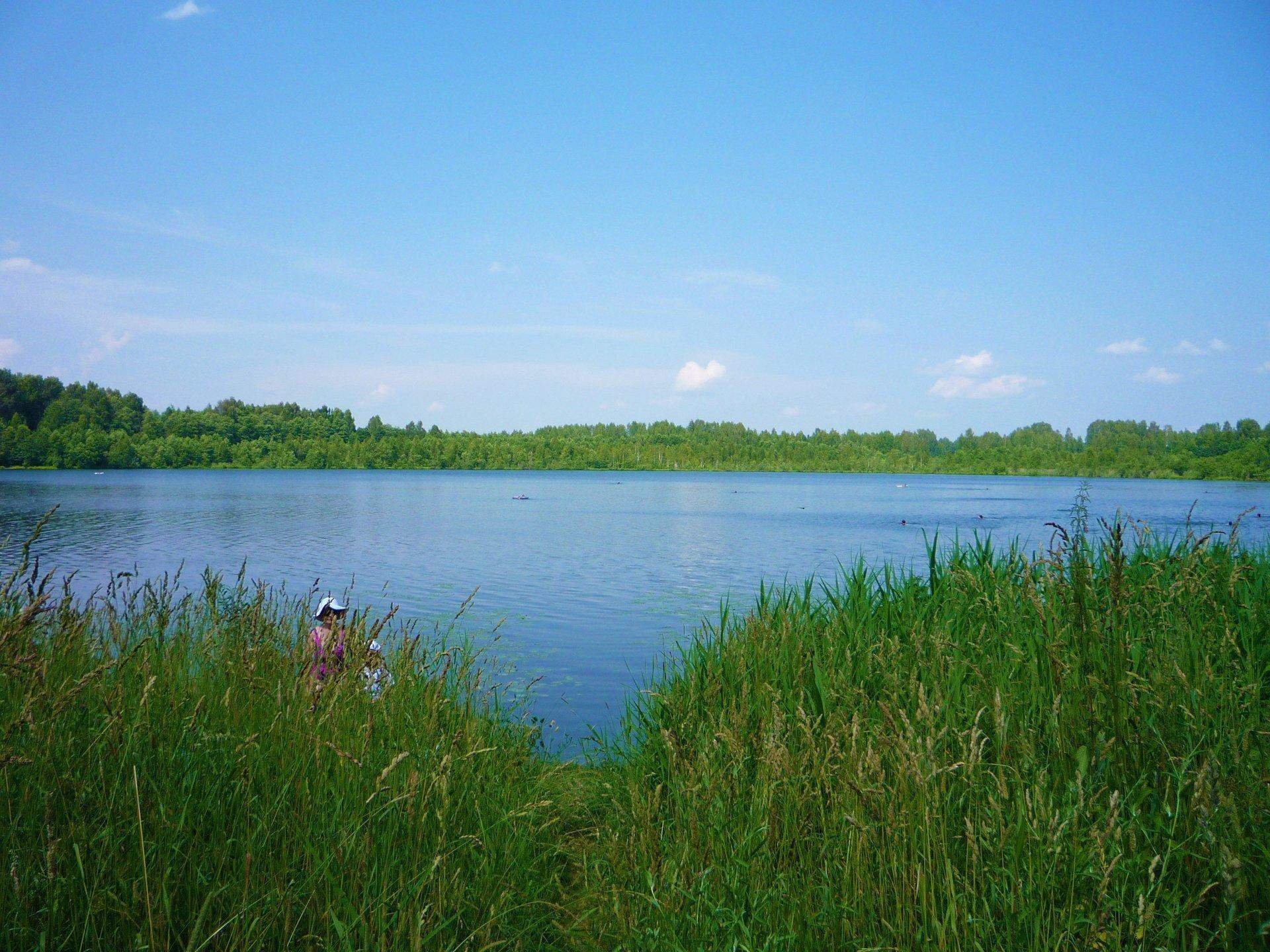 Озеро светлояр фото под водой