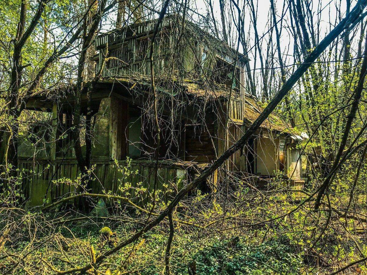 Чернобыль заросший дом