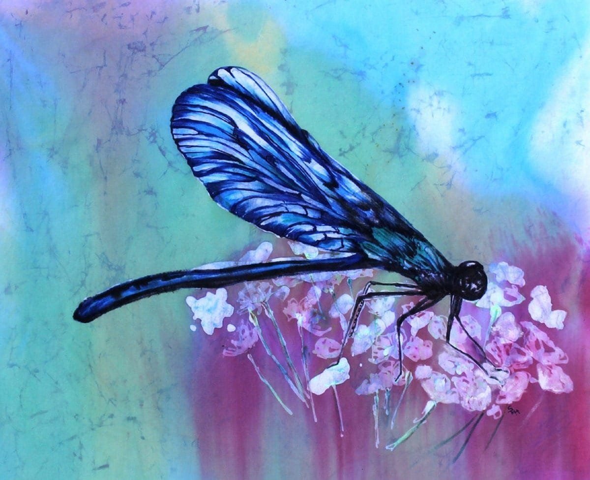 Бабочки и стрекозы картинки для детей