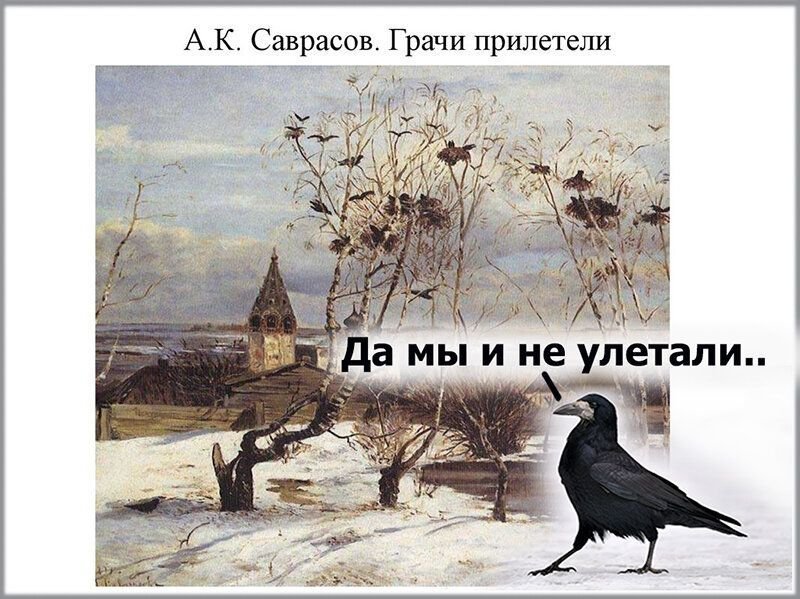 Когда прилетают грачи в москву. Грачи улетели. Грачи прилетели и охренели. Грачи прилетели юмор. Юмористическая открытка Грачи прилетели.