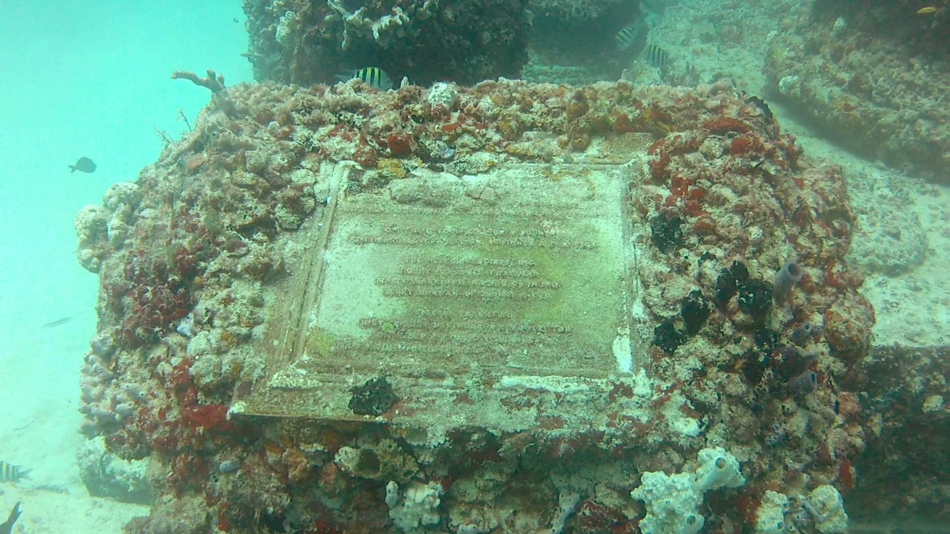 Водное захоронение. Подводное кладбище Neptune Memorial Reef. Мемориальный риф Нептуна (Neptune Memorial Reef), США. Кладбище дайверов подводный риф Нептуна. Мемориальный риф Нептуна (Майами, Флорида).