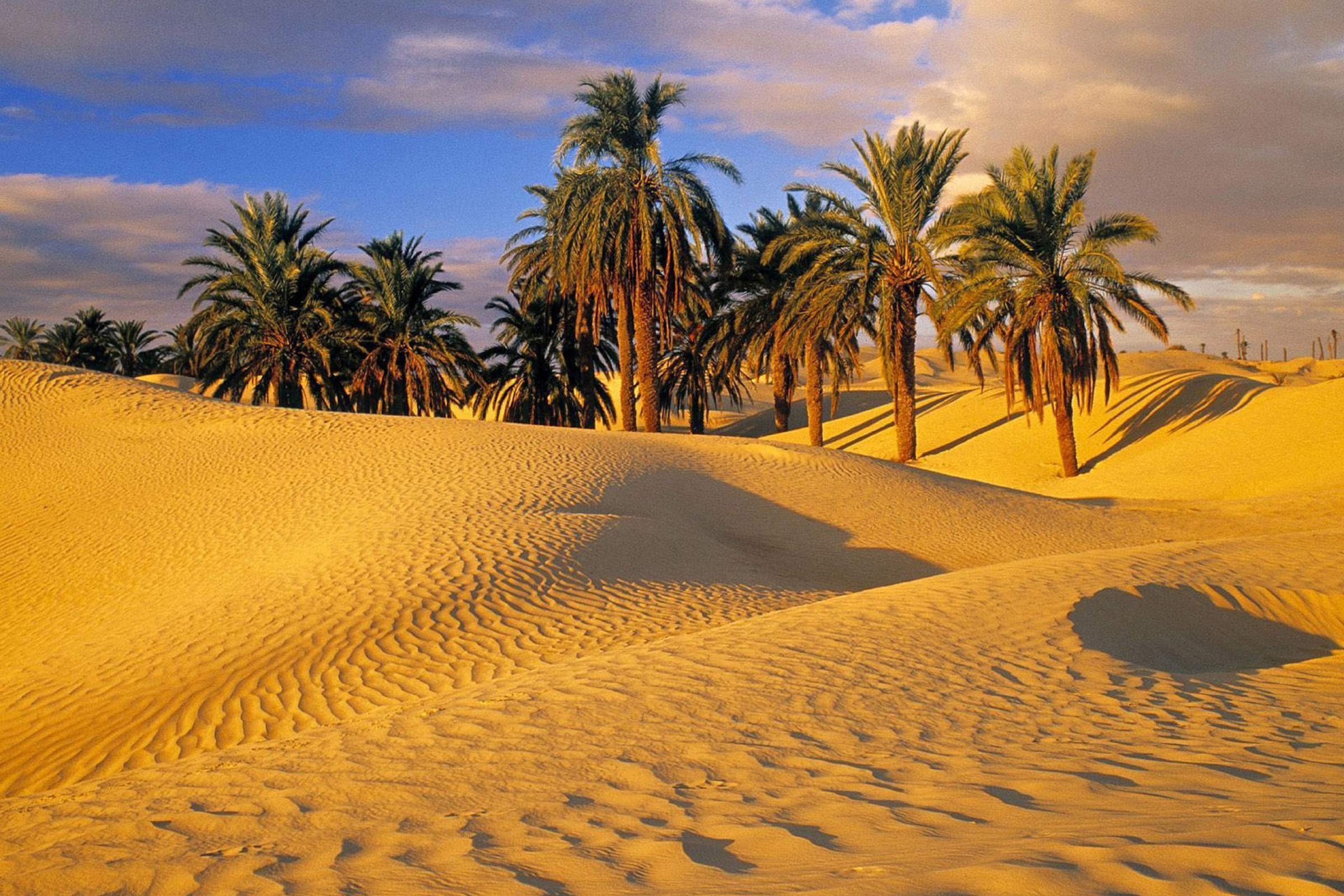 Пустыня сахара в тунисе