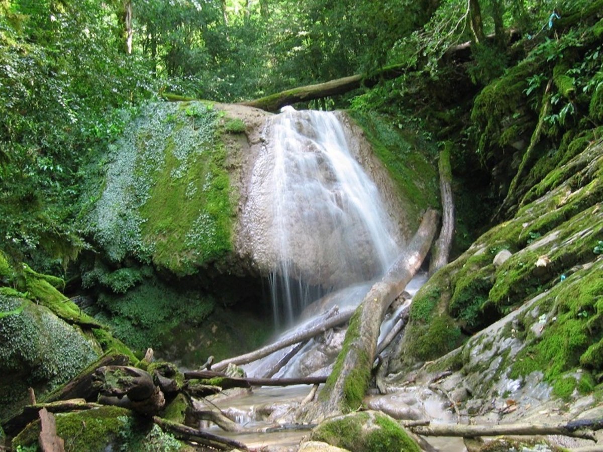 Водопады Самшитовая роща Хоста