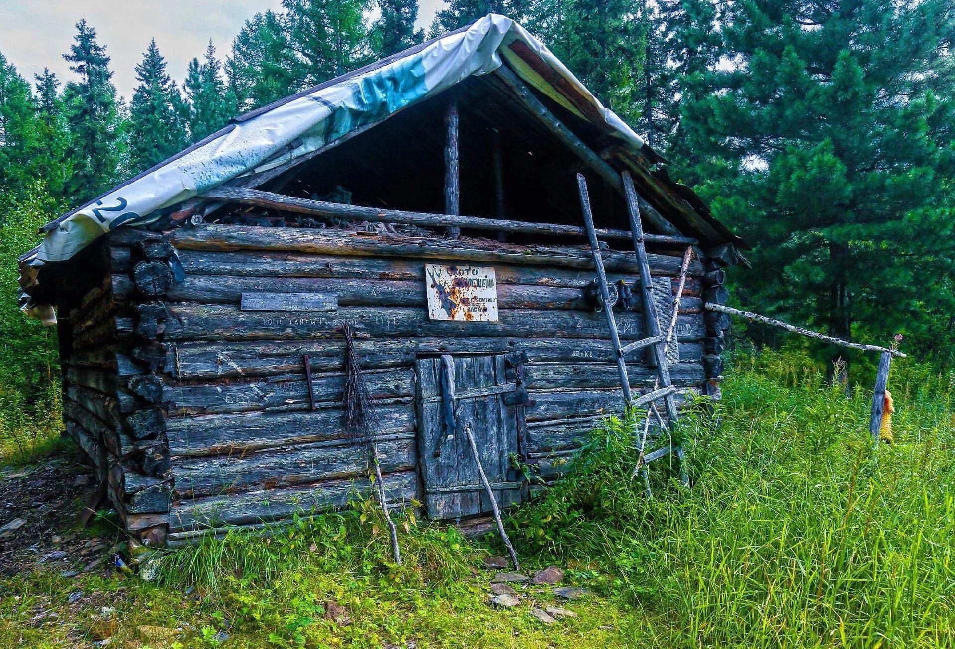 Наедине с тайгой фото избы