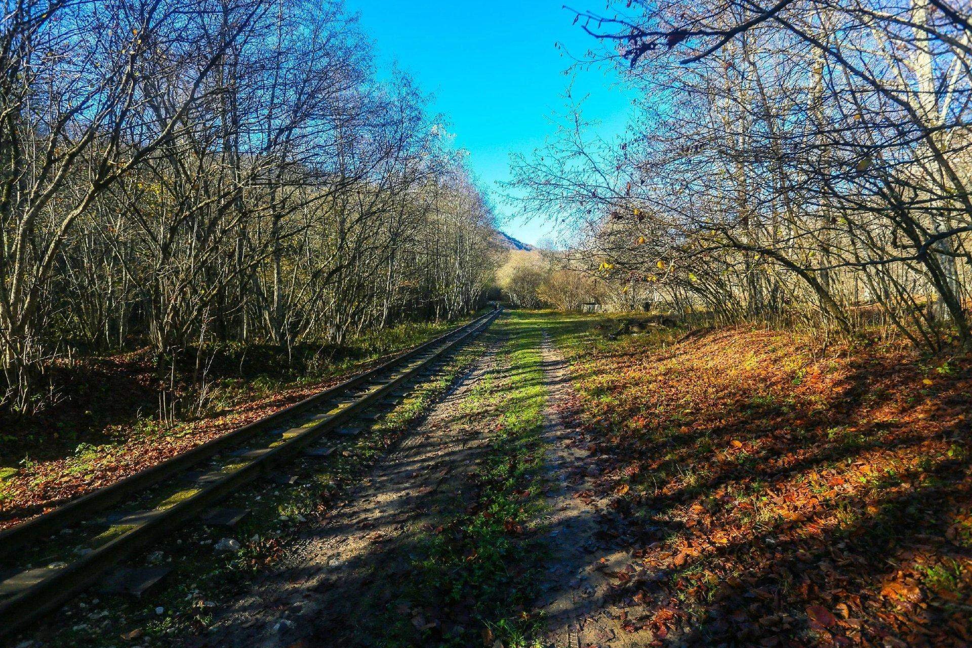 Тысячи сломанных судеб какие тайны хранит любимая