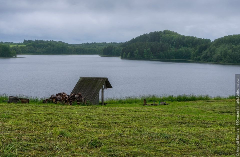 Морская масельга фото