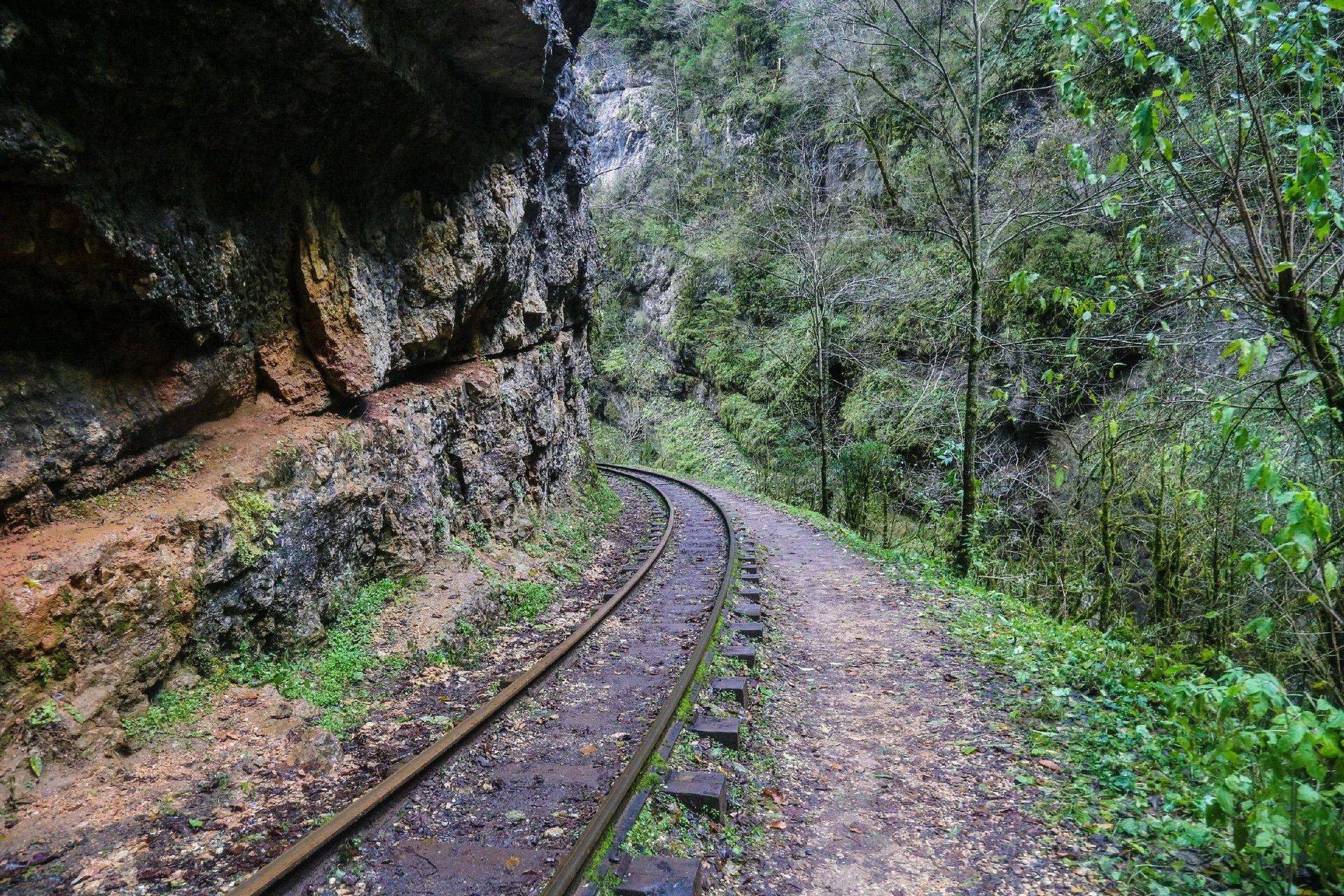 Тысячи сломанных судеб какие тайны хранит любимая
