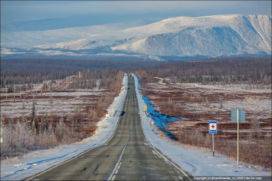 Полярная сова харп фото