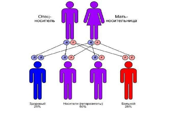 С точки зрения генетики. Генетика детей от родителей схема. Межнациональные браки в генетике. Генетика отца и матери к ребенку. Генетика от родителей к детям что передается.