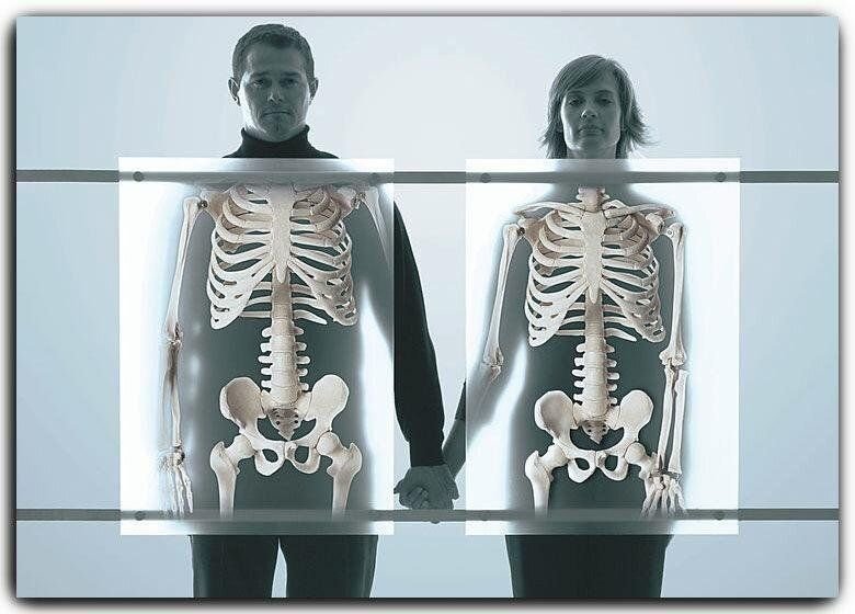 скелет женщины и мужчины различия. у мужчины и женщины одинаковые ребра. грудная клетка. у мужчины и женщины одинаковые ребра. скелет мужчины и женщины отличия ребра.