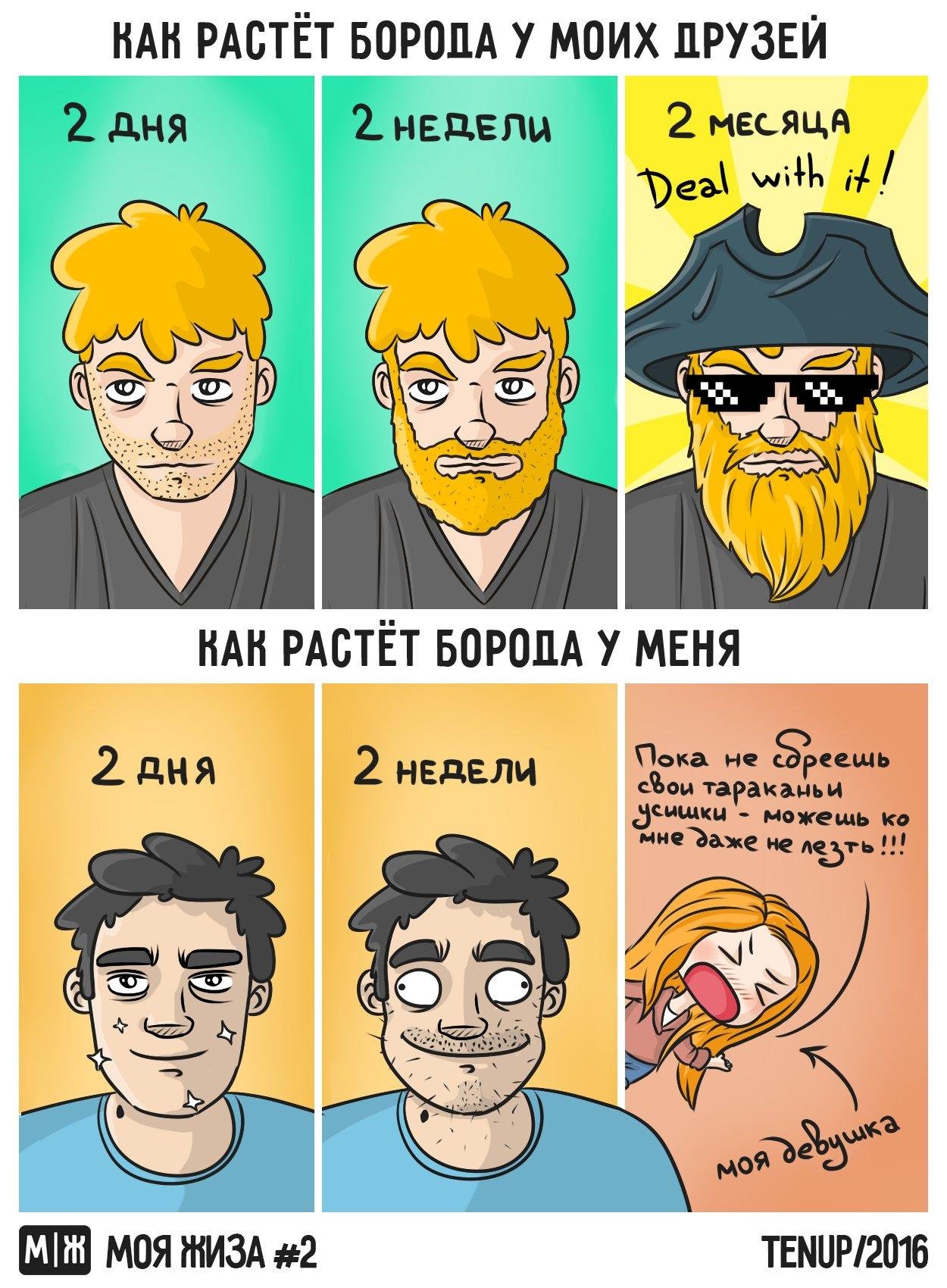 Бородатый анекдот картинка