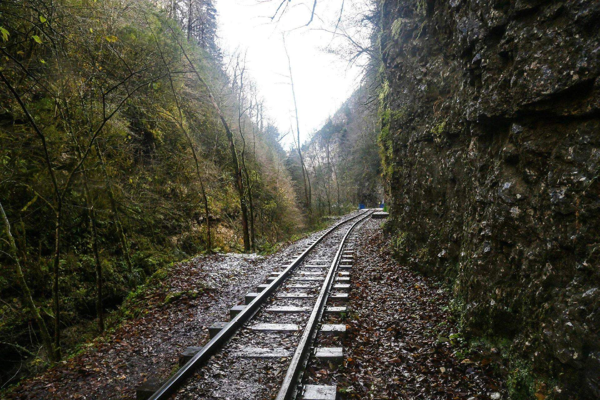 Тысячи сломанных судеб какие тайны хранит любимая
