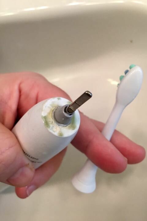как очистить зубную щетку от плесени электрическую