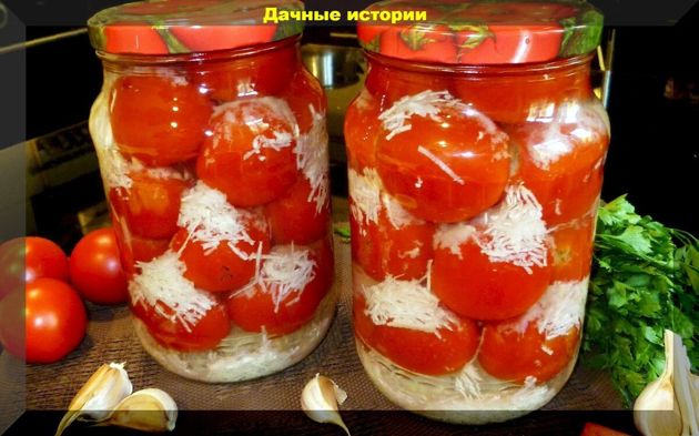 Очевидные и не очевидные ошибки дачника которые могут привести к потере урожая томатов