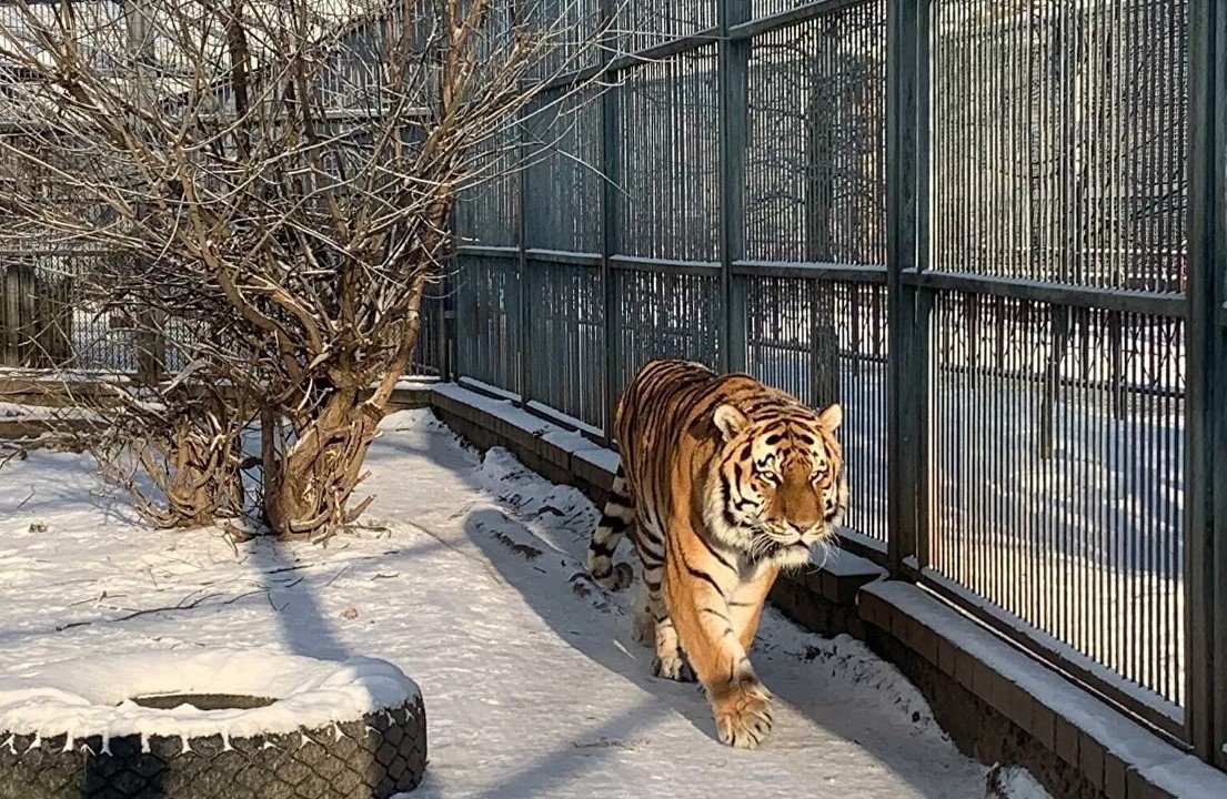 зоопарк гродно