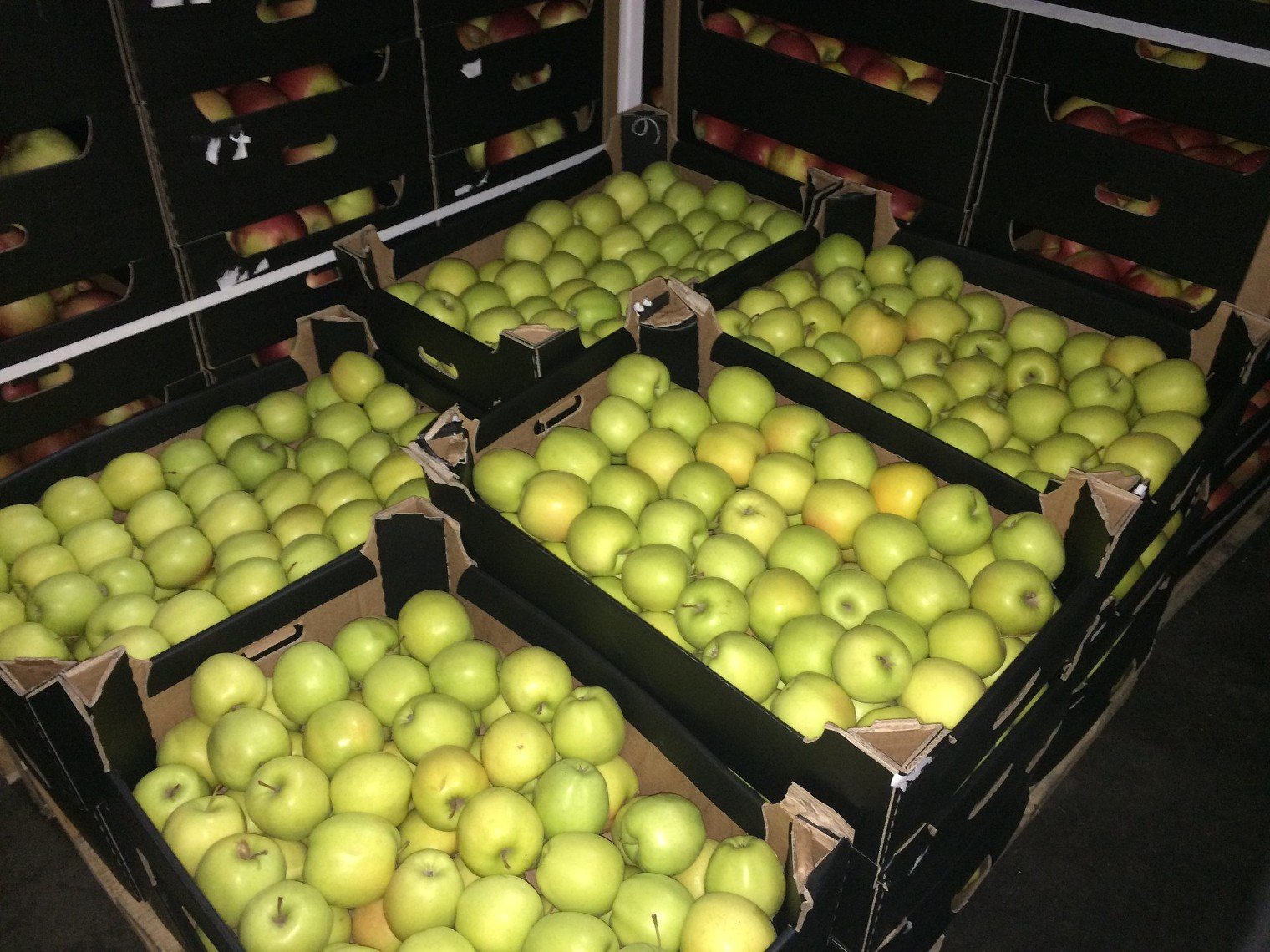 Для лучшего хранения яблок. Хранение яблок. Хранилище фруктов. Хранилище яблок. Хранение овощей и фруктов на складах.
