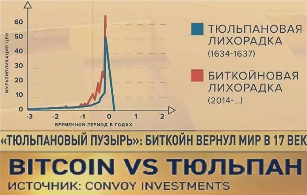 evaluarea portofelelor bitcoin 2021 bitcoin local e