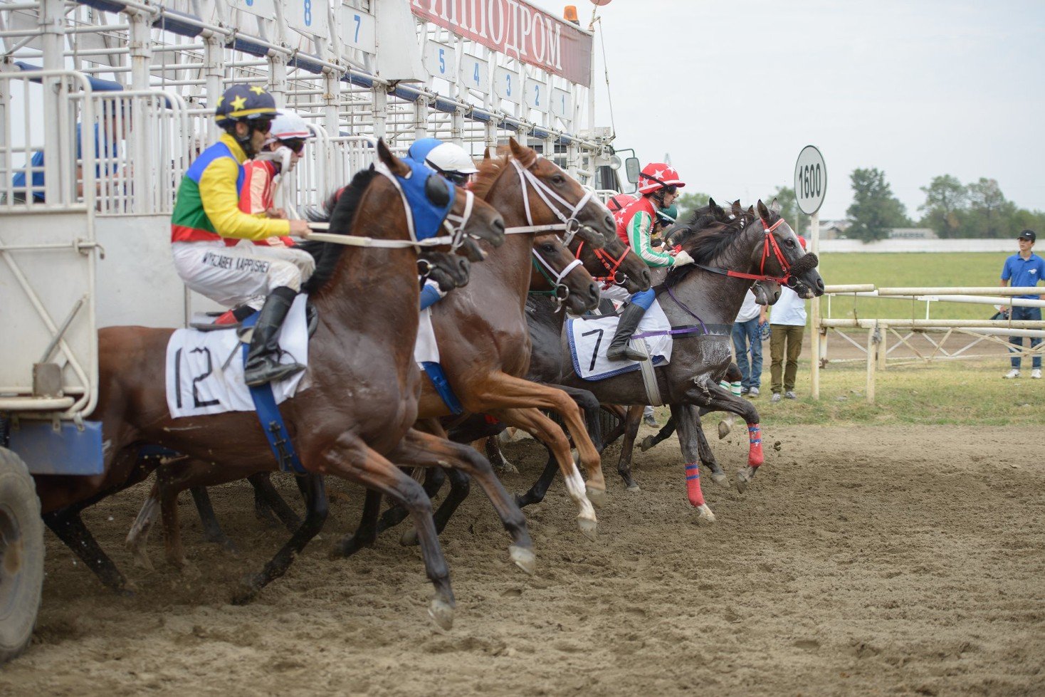 скачки на краснодарском ипподроме. главный ипподром. главный ипподром. науруз казань ипподром россия 1. ипподром казань скачки.