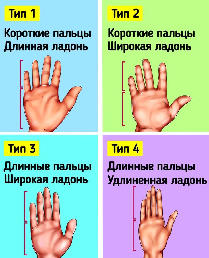 пальцы средней длины. о чем говорят длинные пальцы. разные формы пальцев. характер человека по длине пальцев на руке. соотношение указательного и безымянного пальца.