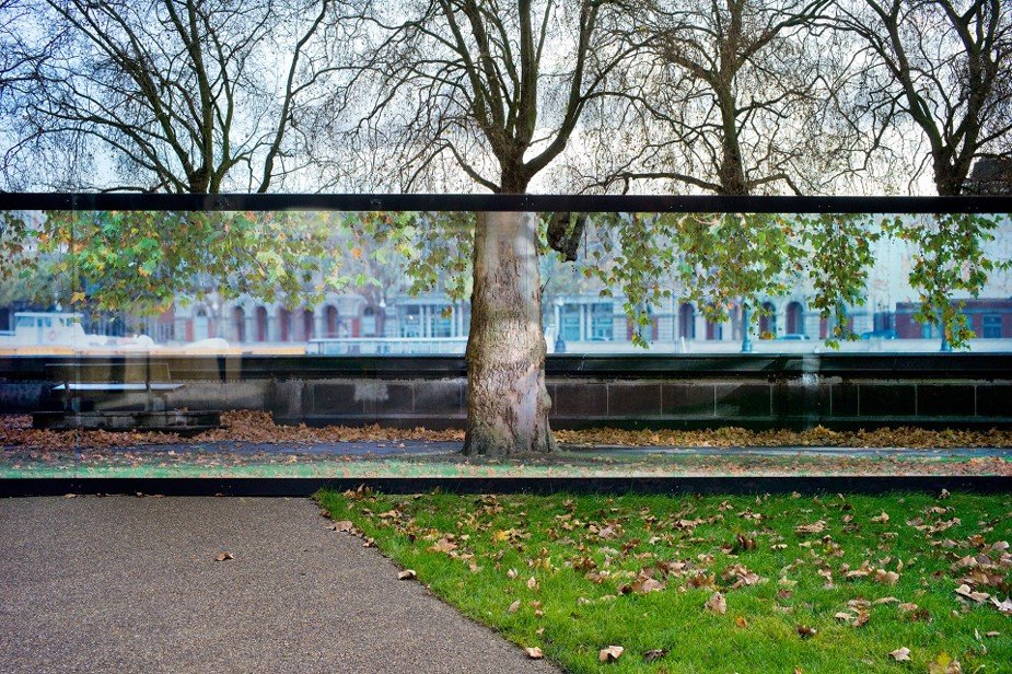 Дерево, Лондон. Фотограф Ник Тёрпин