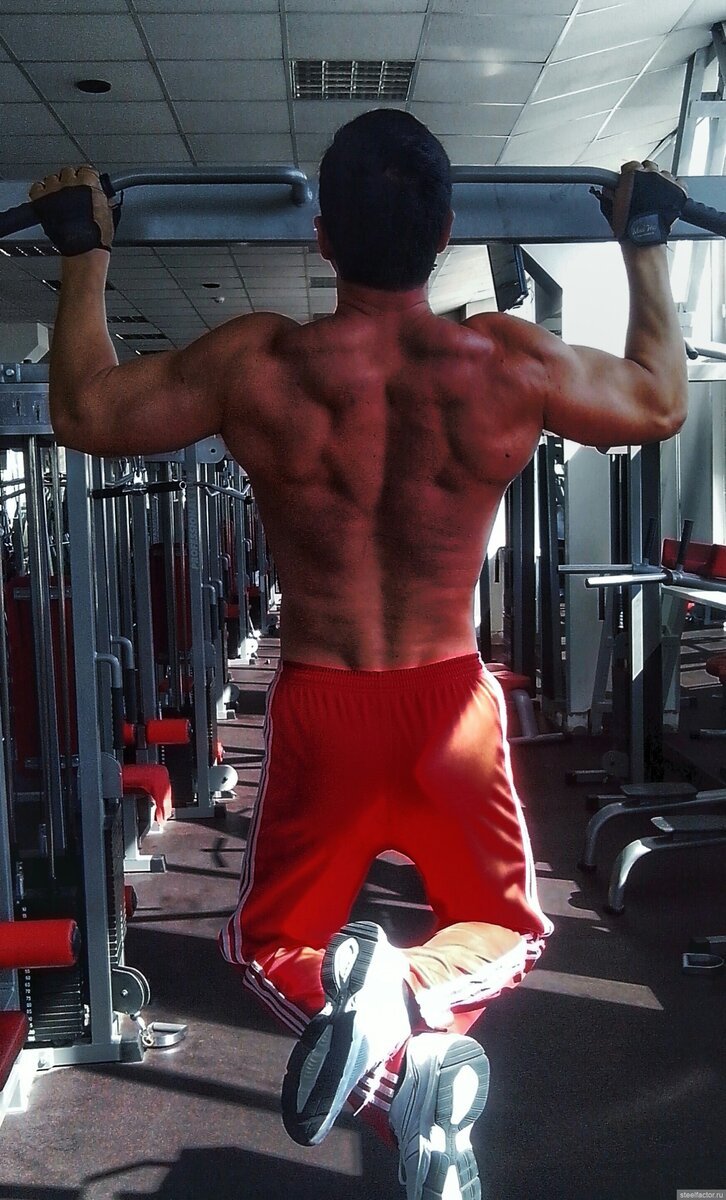 Мистер олимпия классик физик. Steelfactor форум. Протеин steelfactor. Steelfactor форум. Steelfactor форум.