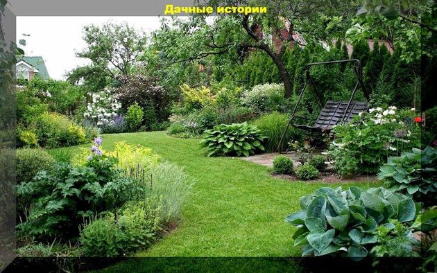 Полезные советы на садово-огородную тематику и ответы на вопросы начинающих дачников