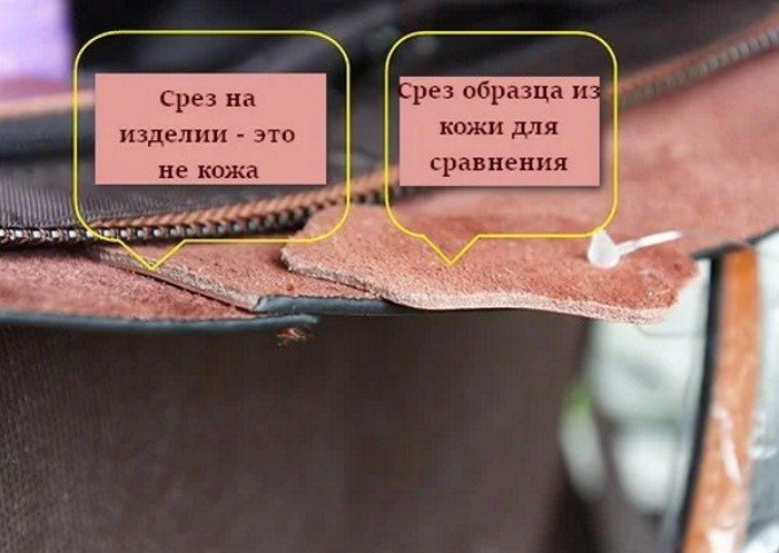 Как называется обратная сторона фотографии