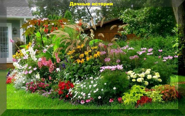 Полезные советы на садово-огородную тематику и ответы на вопросы начинающих дачников