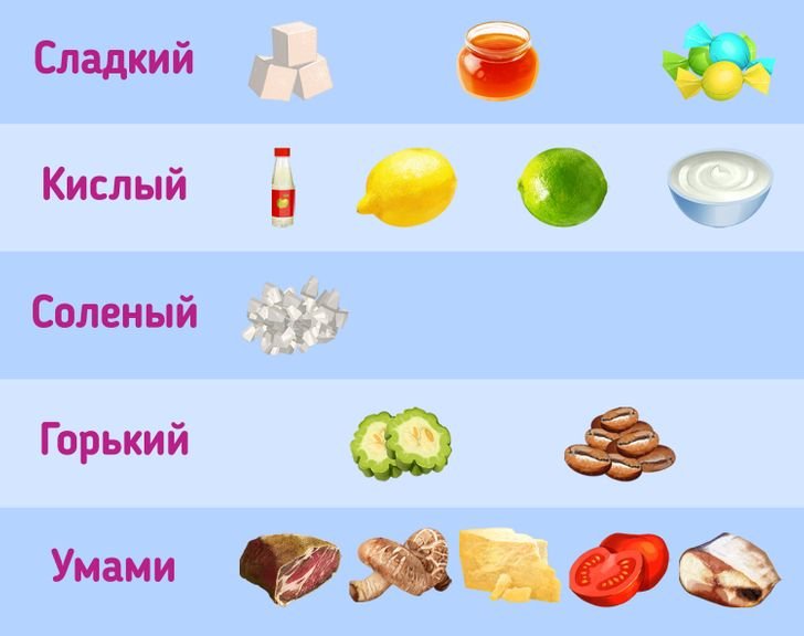 вкус умами что это