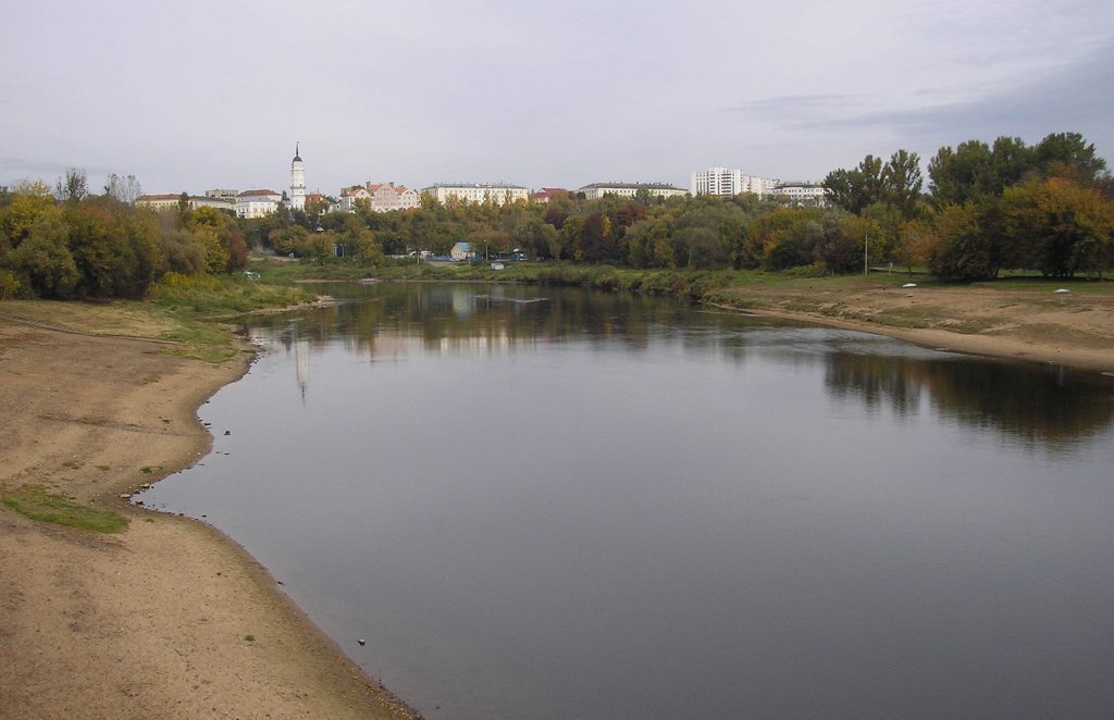 Днепр могилев. Могилев река Днепр. Город Могилёв на реке Днепр. Берег Днепра в Могилеве.