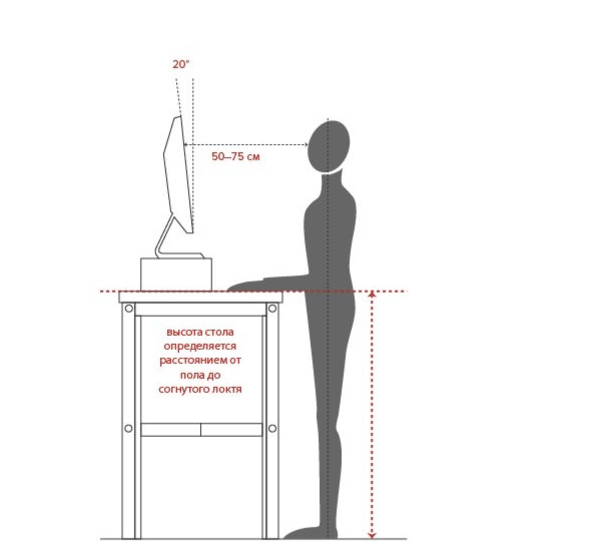 На каком расстоянии стоят. Эргономика рабочего места высота стола. Высота стола для стоячей работы. Высота компьютерного стола для работы стоя. Эргономика рабочего места стоя.