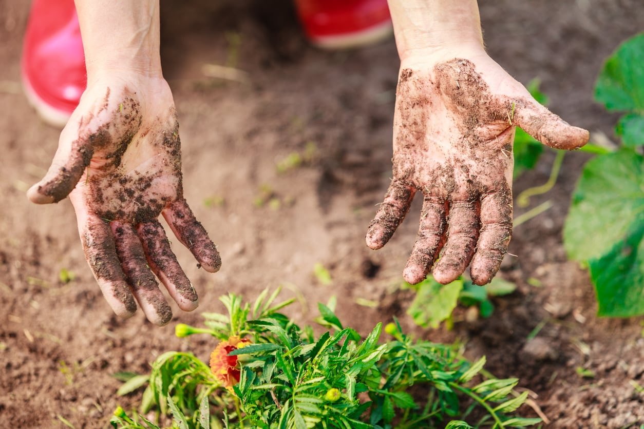 Чем отмыть руки от грязи. Грязные руки после огорода. Руки в огороде.