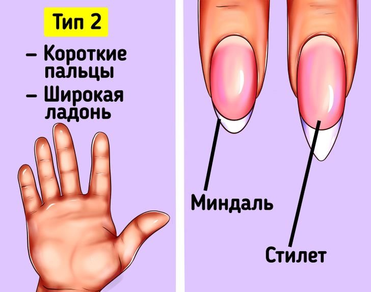 Состояние ногтей и здоровье органов человека рисунок с описанием