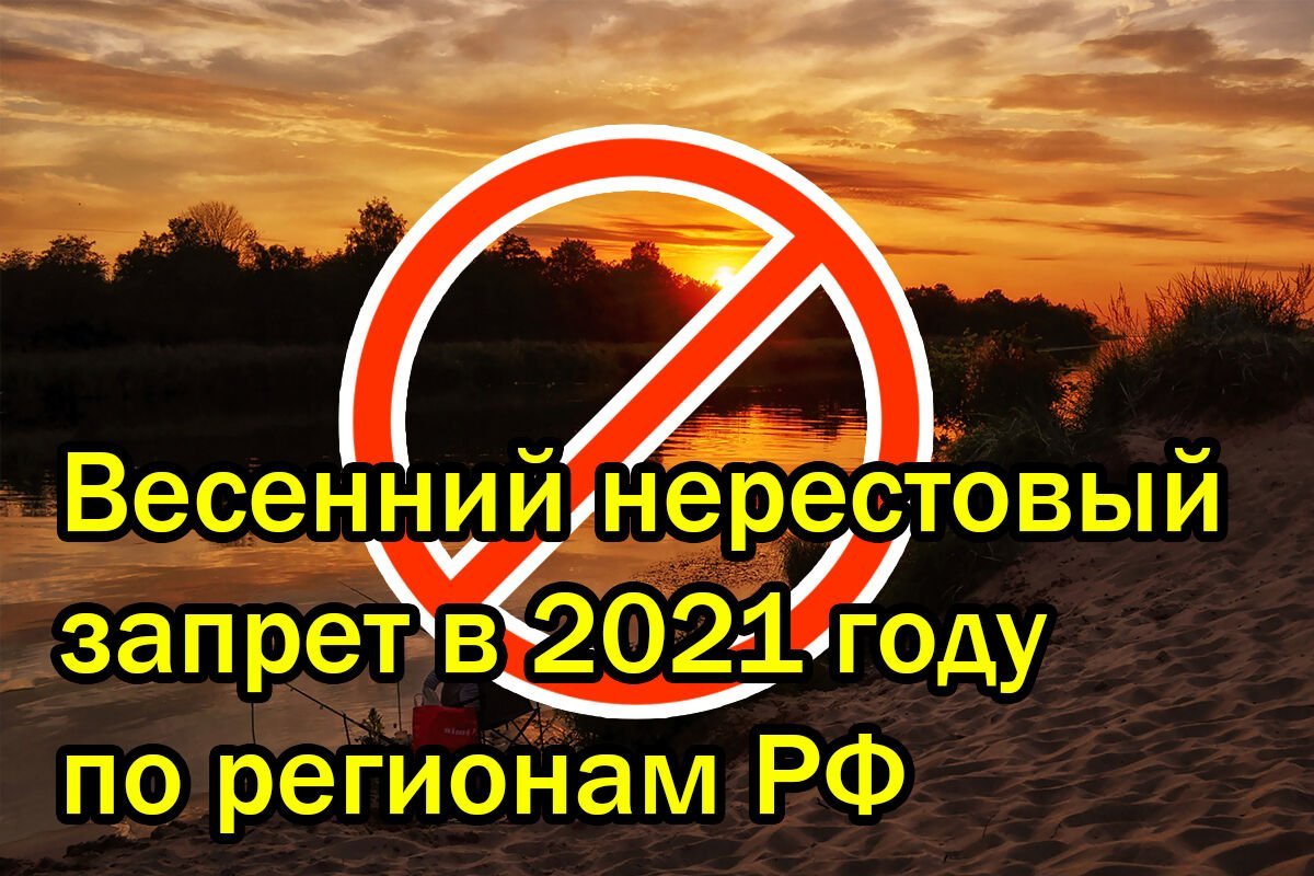 Период запрета. Нерестовый запрет в Ленинградской области в 2021 году. Нерестовый запрет по регионам 2022 году.